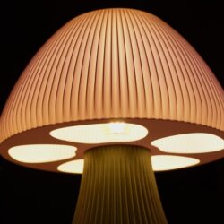 Luminária Clarté Chanterelle - Verde Oliva e Rosa - Imagem 6