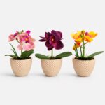 Kit 3 Vasos Nuage com arranjo mini Orquídea Permanente - Bege
