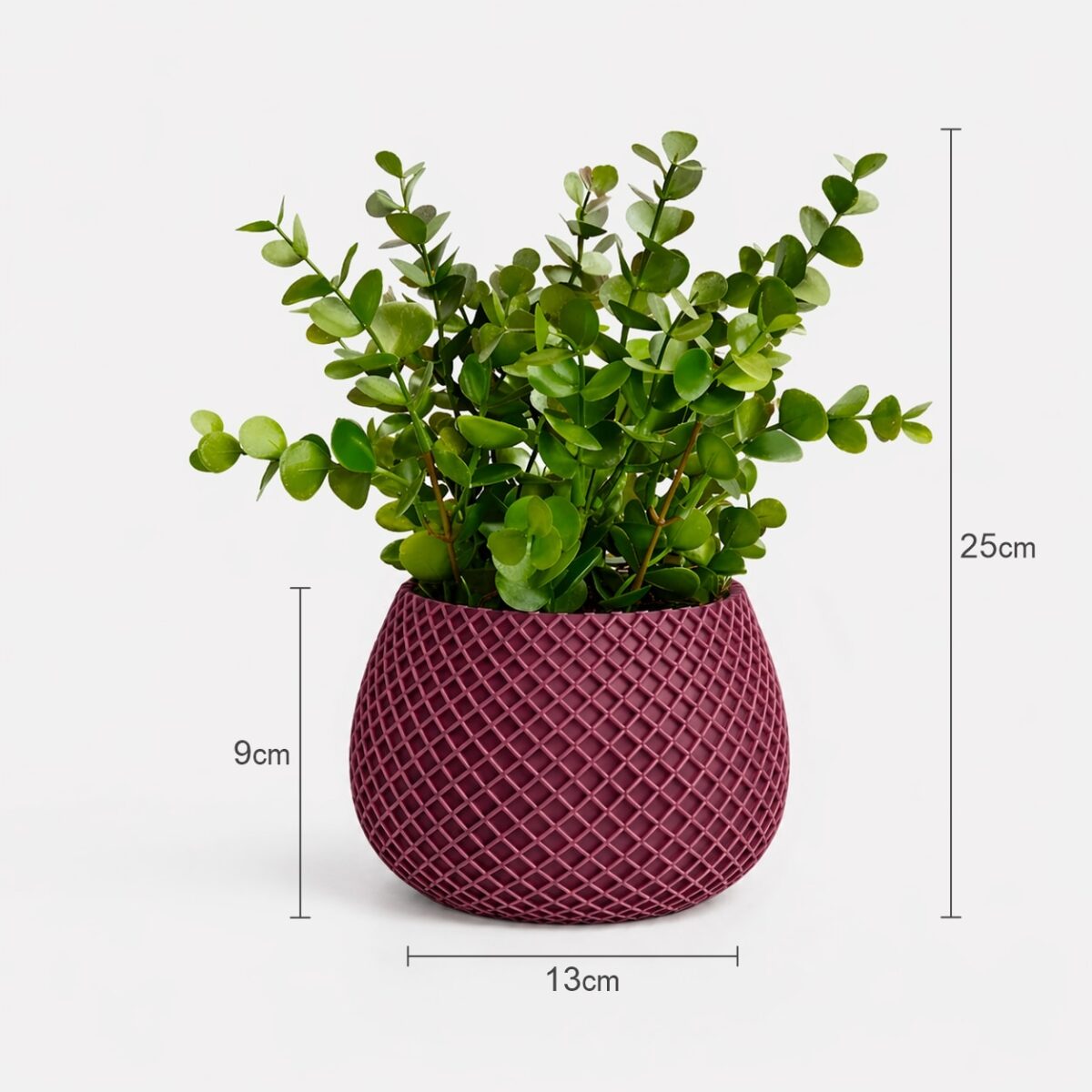 Arranjo de Eucalipto Permanente Verde Vaso Treliça - Marsala - Imagem 4