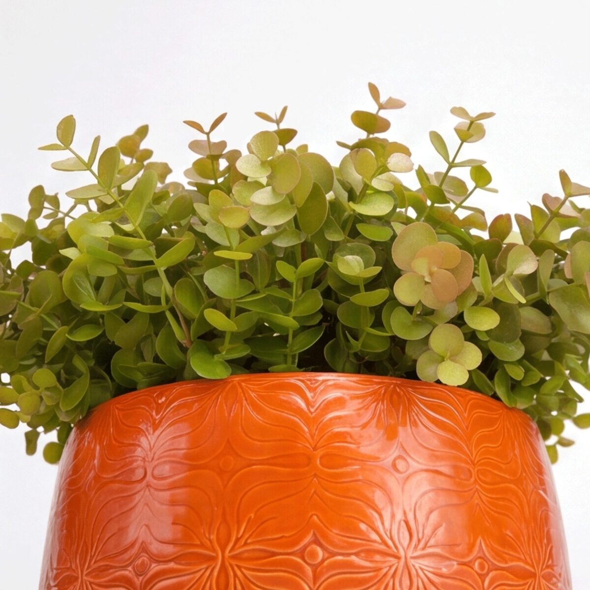 Arranjo de Eucalipto Permanente Verde Vaso Cerâmica Flor Laranja - Imagem 4