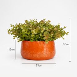 Arranjo de Eucalipto Permanente Verde Vaso Cerâmica Flor Laranja - Imagem 7