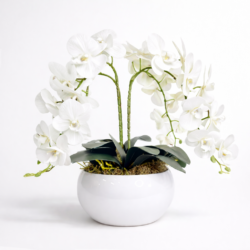 Arranjo de Orquídea Permanente Branca Vaso Cerâmica Lorance Branco