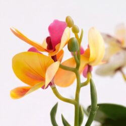Kit 3 Vasos Prismar com arranjo mini Orquídea Permanente - Branco - Imagem 8