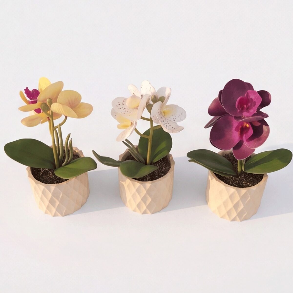 Kit 3 Vasos Prismar com arranjo mini Orquídea Permanente - Bege - Imagem 5