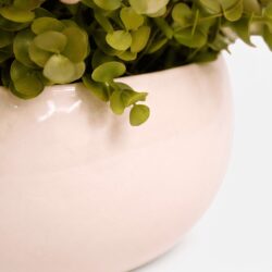 Arranjo de Eucalipto Permanente Verde Vaso Cerâmica Lorance Marfim - Imagem 5