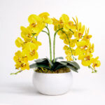 Arranjo de Orquídea Permanente Amarela Vaso Cerâmica Lorance Branco