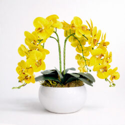 Arranjo de Orquídea Permanente Amarela Vaso Cerâmica Lorance Branco