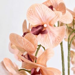 Arranjo de Orquídea Permanente  Bege Vaso Cerâmica Lorance Branco - Imagem 2
