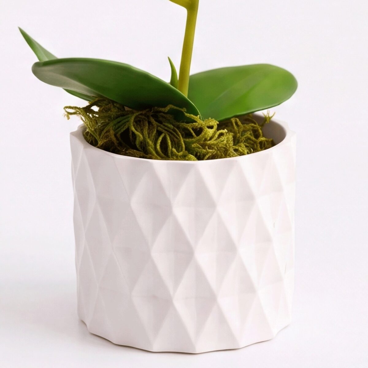 Kit 3 Vasos Prismar com arranjo mini Orquídea Permanente - Branco - Imagem 7