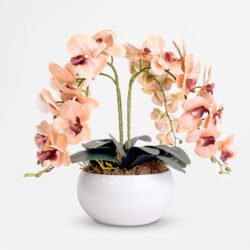 Arranjo de Orquídea Permanente  Bege Vaso Cerâmica Lorance Branco
