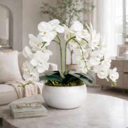 Arranjo de Orquídea Permanente Branca Vaso Cerâmica Lorance Branco - Imagem 4
