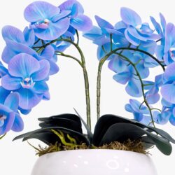 Arranjo de Orquídea Permanente Azul Vaso Cerâmica Lorance Branco - Imagem 6