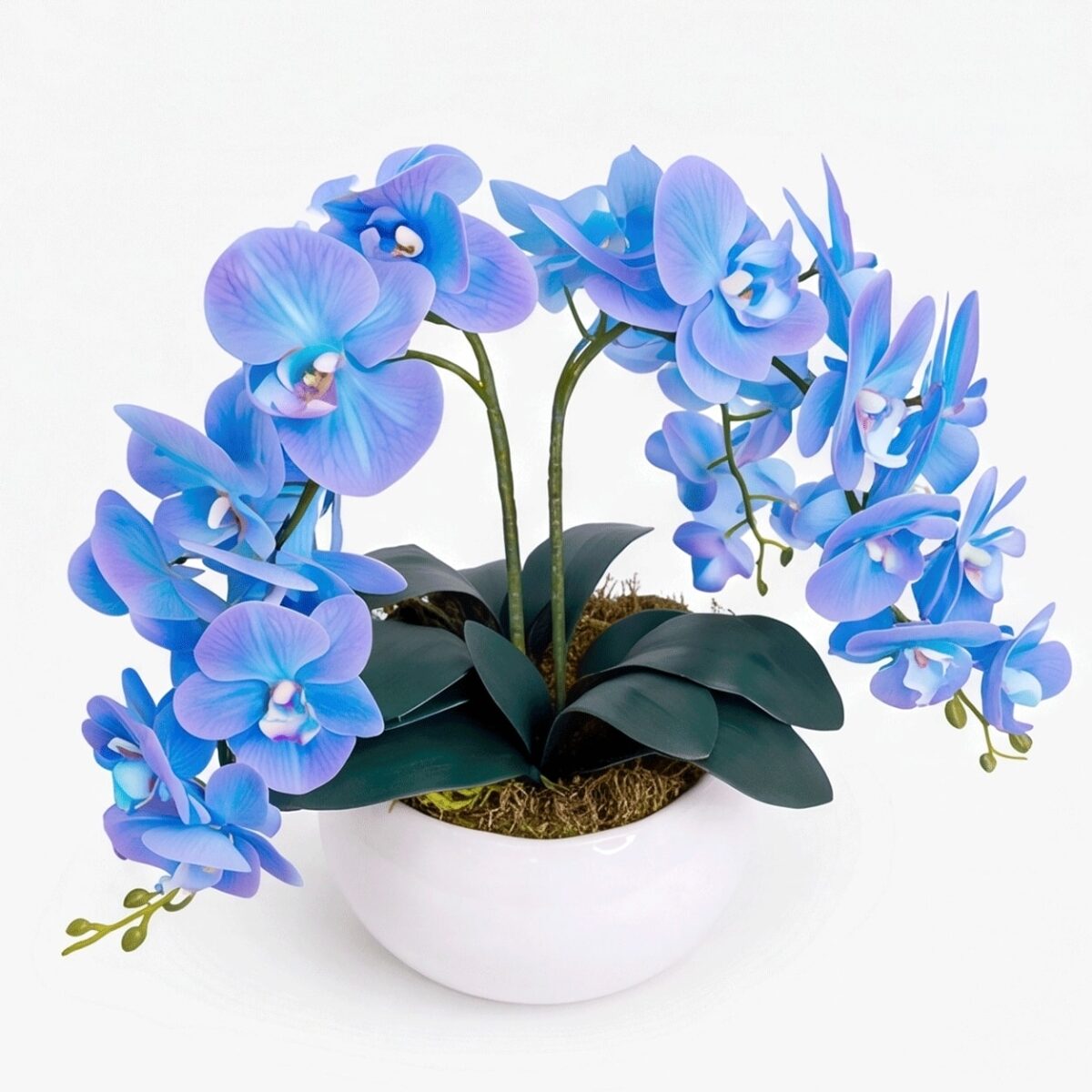 Arranjo de Orquídea Permanente Azul Vaso Cerâmica Lorance Branco - Imagem 5