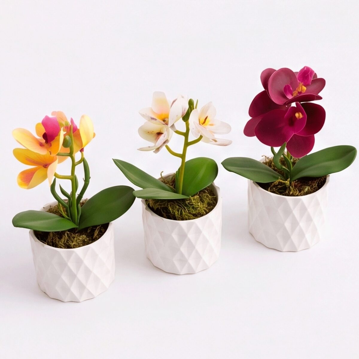 Kit 3 Vasos Prismar com arranjo mini Orquídea Permanente - Branco - Imagem 6