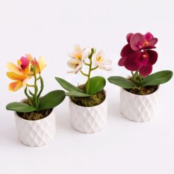 Kit 3 Vasos Prismar com arranjo mini Orquídea Permanente - Branco - Imagem 6