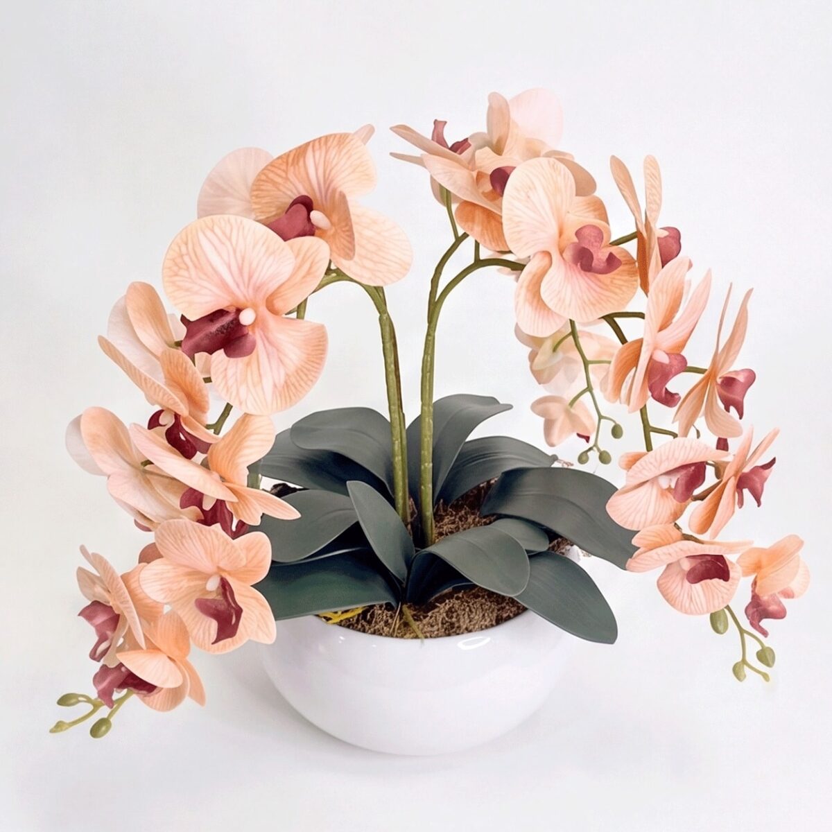 Arranjo de Orquídea Permanente  Bege Vaso Cerâmica Lorance Branco - Imagem 3