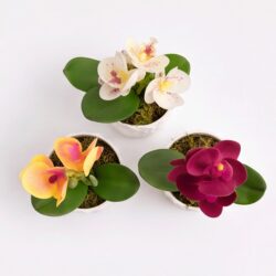 Kit 3 Vasos Prismar com arranjo mini Orquídea Permanente - Branco - Imagem 3