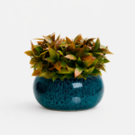 Arranjo Buquê Verdinho Permanente Vaso Intense Azul