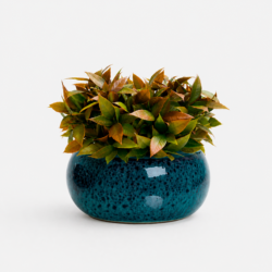 Arranjo Buquê Verdinho Permanente Vaso Intense Azul