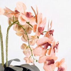Arranjo de Orquídea Permanente  Bege Vaso Cerâmica Lorance Branco - Imagem 6