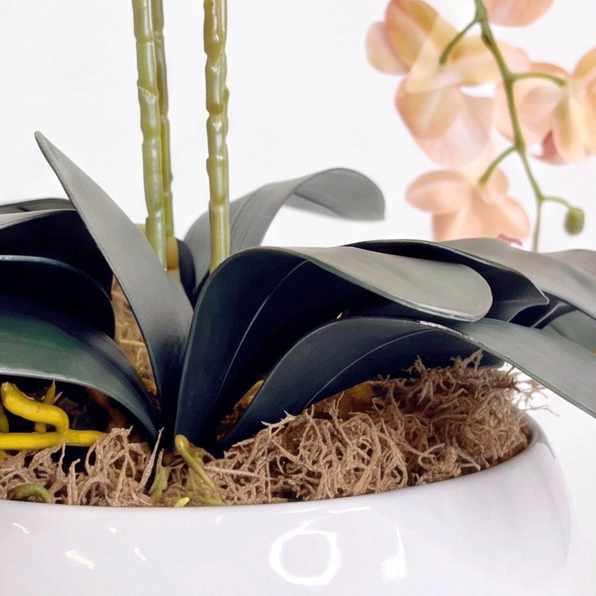 Arranjo de Orquídea Permanente  Bege Vaso Cerâmica Lorance Branco - Imagem 7