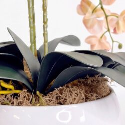 Arranjo de Orquídea Permanente  Bege Vaso Cerâmica Lorance Branco - Imagem 7