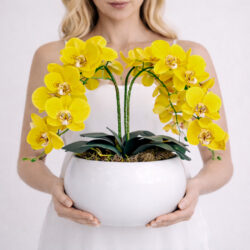 Arranjo de Orquídea Permanente Amarela Vaso Cerâmica Lorance Branco - Imagem 3