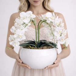 Arranjo de Orquídea Permanente Branca Vaso Cerâmica Lorance Branco - Imagem 3