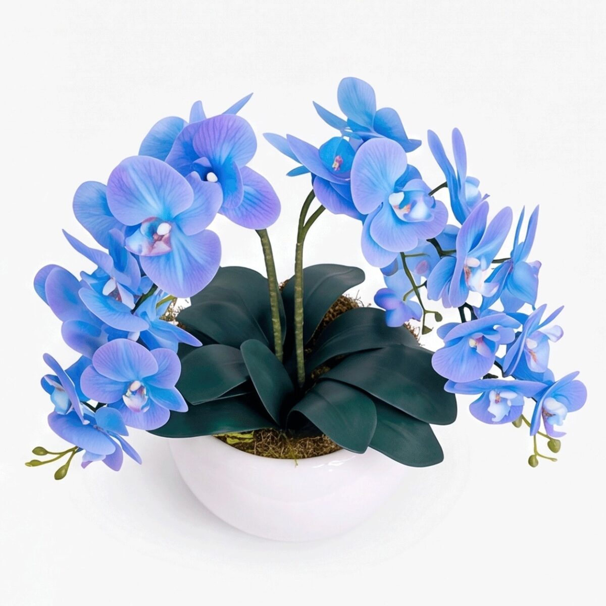Arranjo de Orquídea Permanente Azul Vaso Cerâmica Lorance Branco - Imagem 3