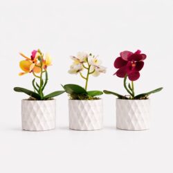 Kit 3 Vasos Prismar com arranjo mini Orquídea Permanente - Branco
