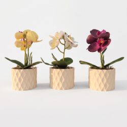 Kit 3 Vasos Prismar com arranjo mini Orquídea Permanente - Bege