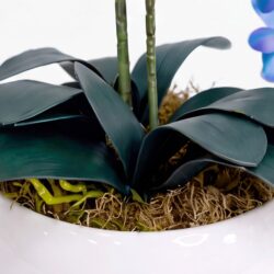 Arranjo de Orquídea Permanente Azul Vaso Cerâmica Lorance Branco - Imagem 4