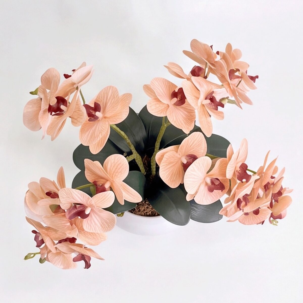Arranjo de Orquídea Permanente  Bege Vaso Cerâmica Lorance Branco - Imagem 5
