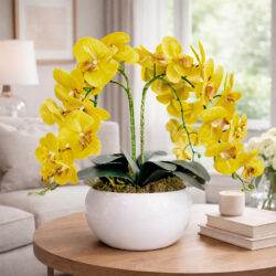 Arranjo de Orquídea Permanente Amarela Vaso Cerâmica Lorance Branco - Imagem 4